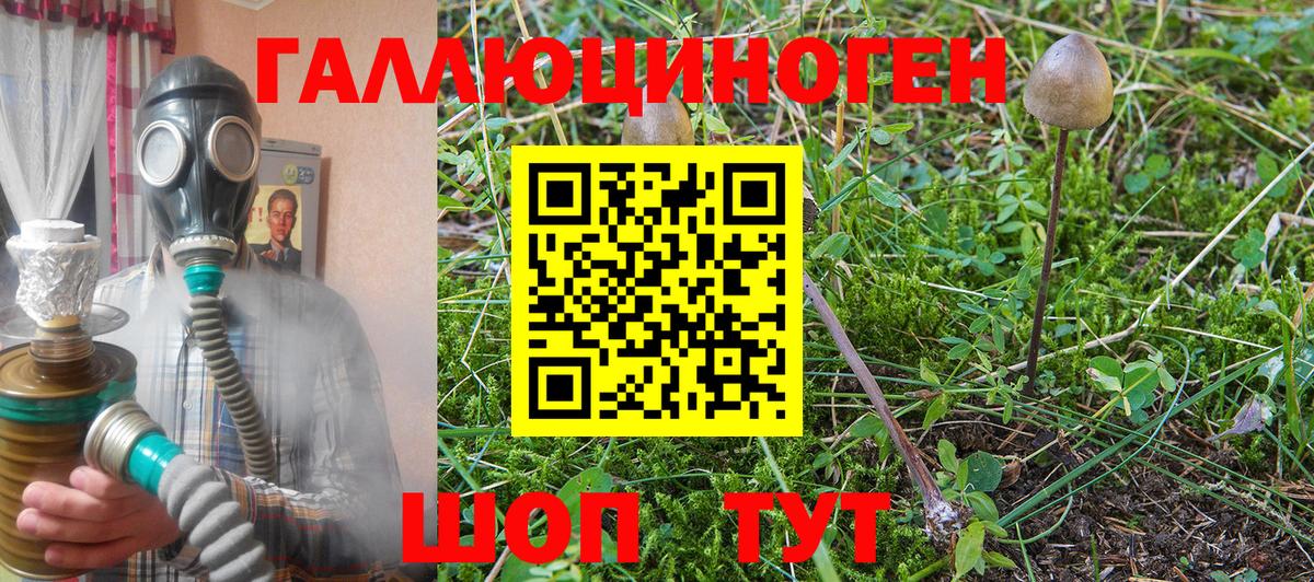 Кирово-Чепецк  Псилоцибиновые грибы ЛСД  купить закладку  Псилоцибиновые грибы прущие грибы  Вход с VPN 