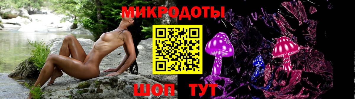 Псилоцибиновые грибы Psilocybe Кирово-Чепецк